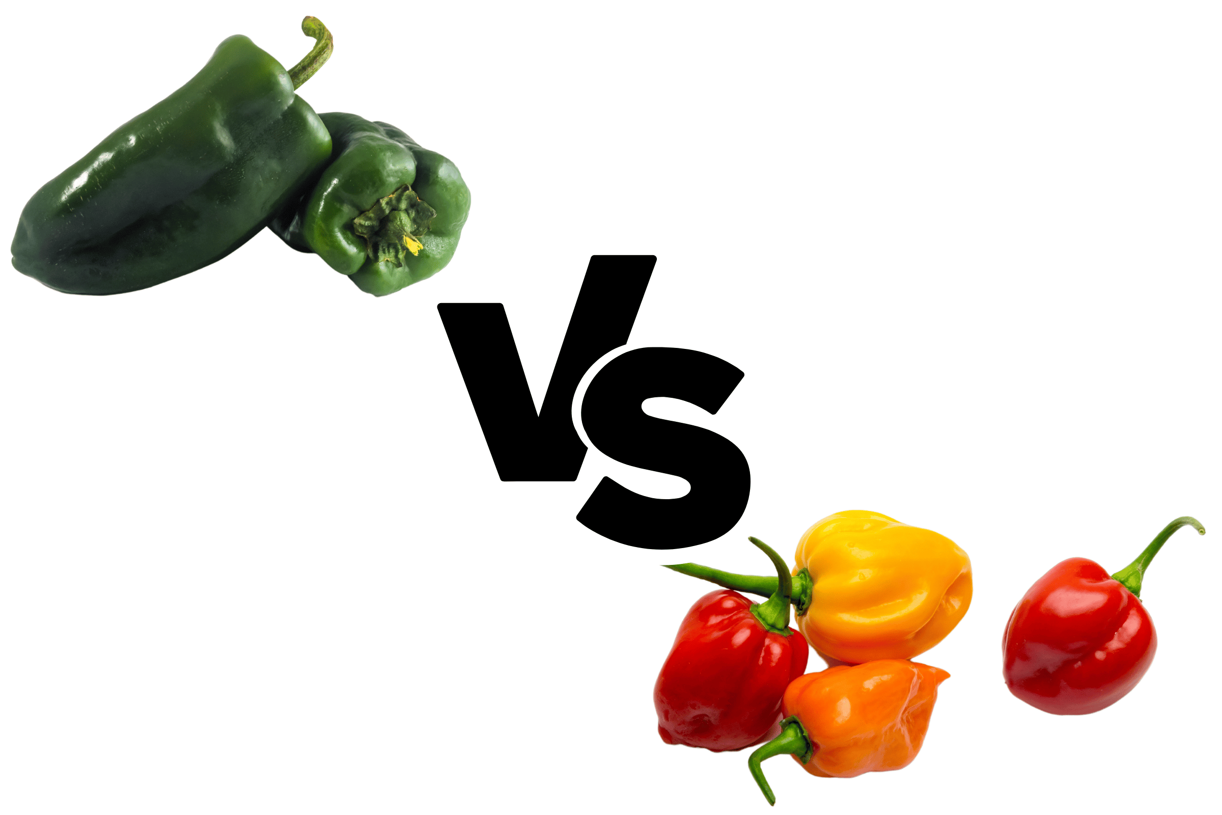 Poblano peppers vs habanero peppers (based on heat, flavor, size, shape, nutrition, and substitutions).