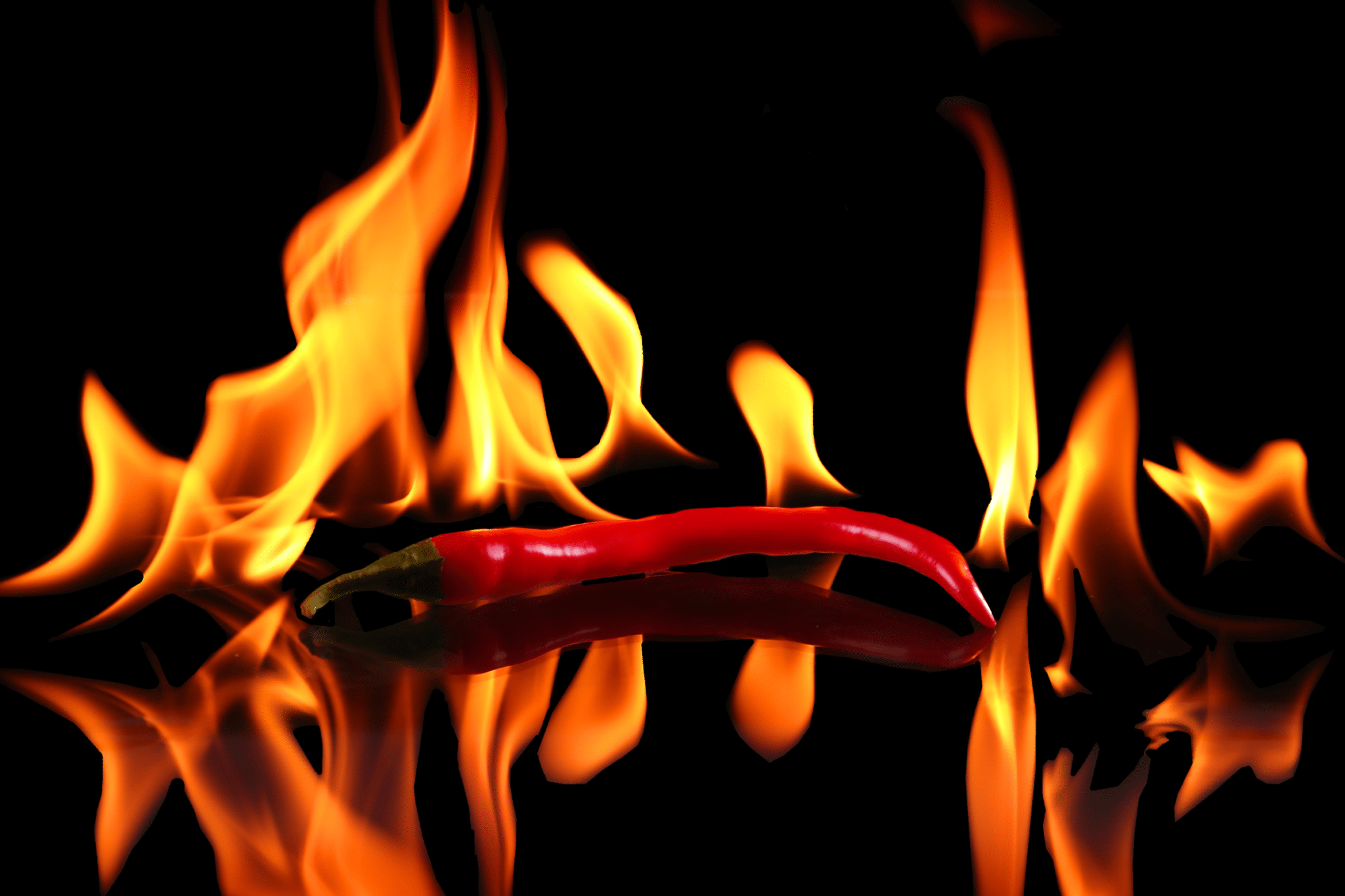 how-to-grow-peppers-hotter_featured-2048x1365.png