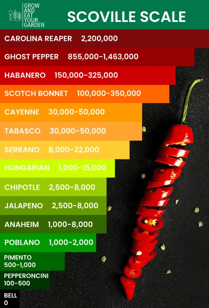 The Scoville Scale rates peppers based on their heat level. Poblanos score a 1,000-2,000 SHU; jalapenos are 2,500-8,000.