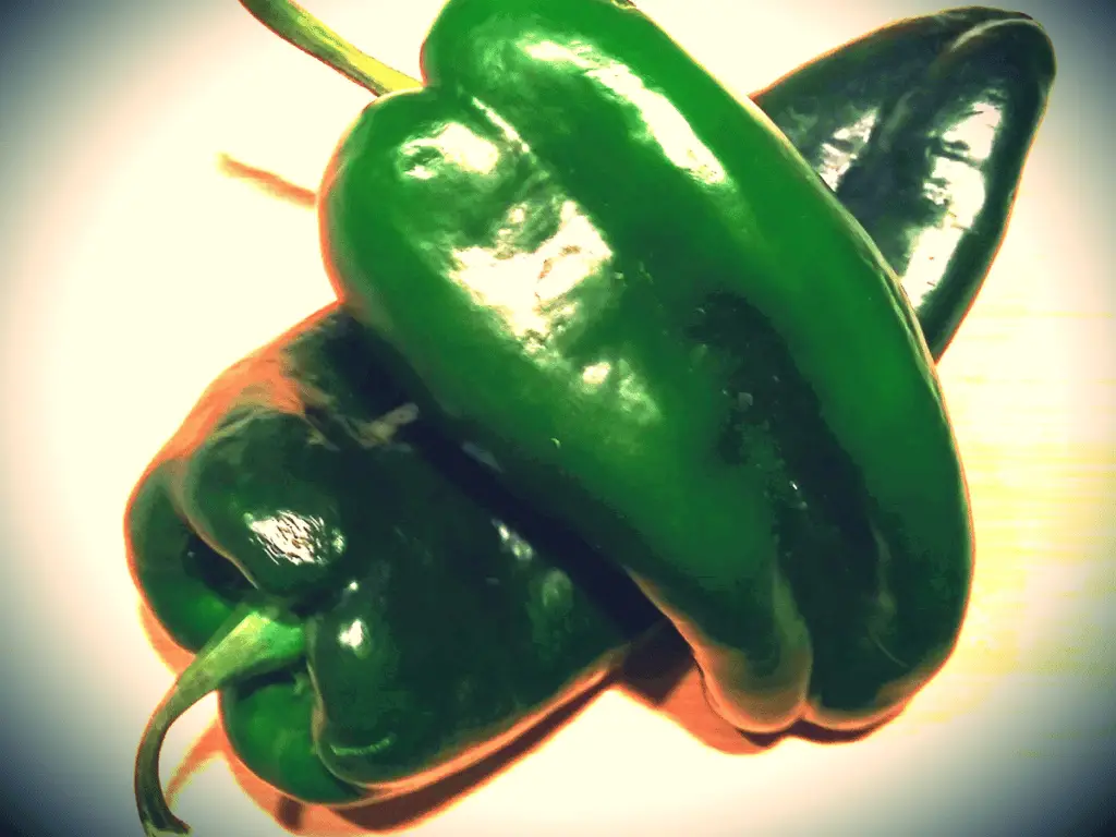 Poblano peppers resemble bell peppers that have been flattened.
