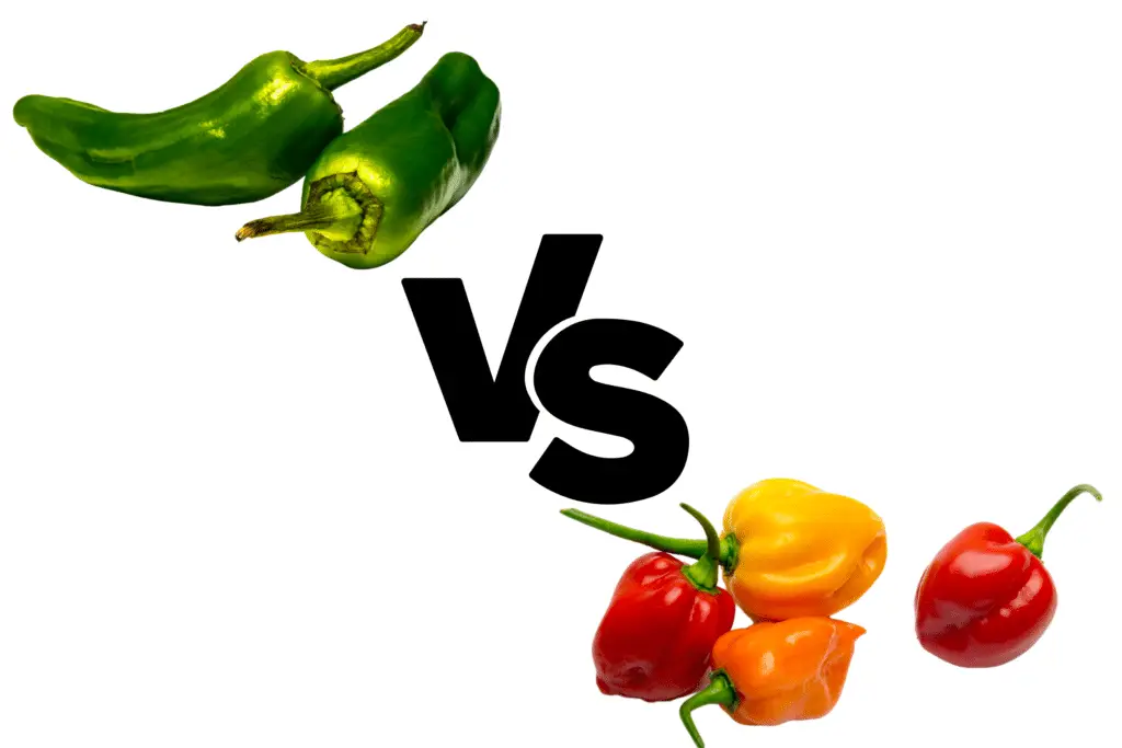Jalapeños vs habanero peppers (based on heat, flavor, size, shape, nutrition, and substitutions).