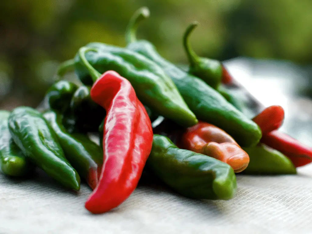 The Anaheim pepper has a relatively low amount of spice, with the mature red peppers being on the higher end of their range.