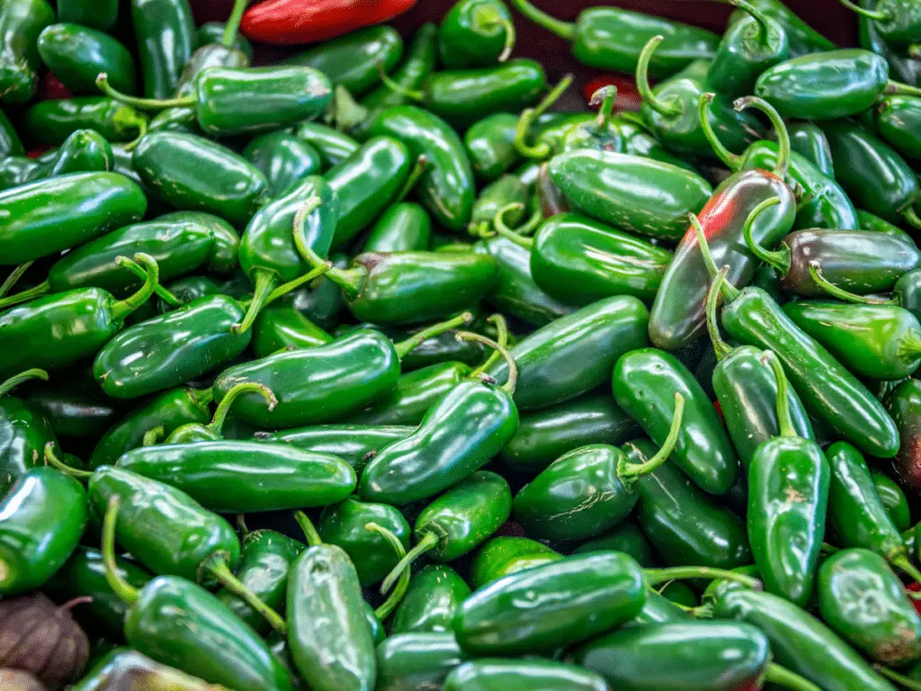 Jalapeños are among the most popular peppers due to their relatively mild heat, sweet flavor, and ease of availability.