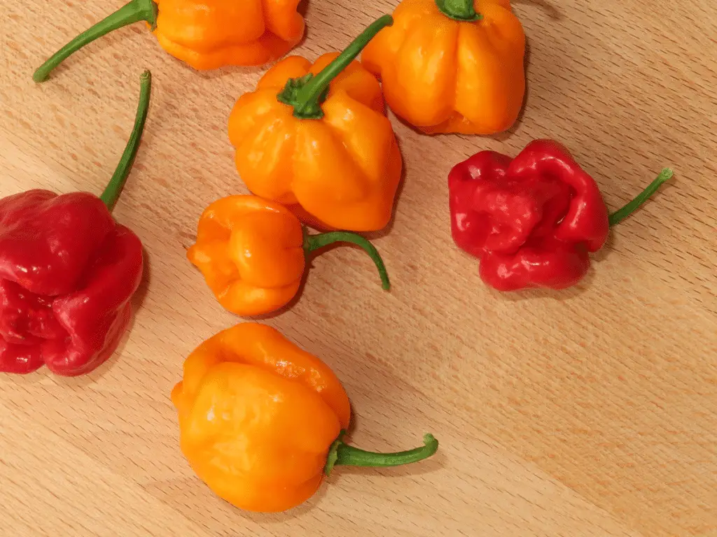 The Carolin Reaper is the reining hottest pepper in the world.