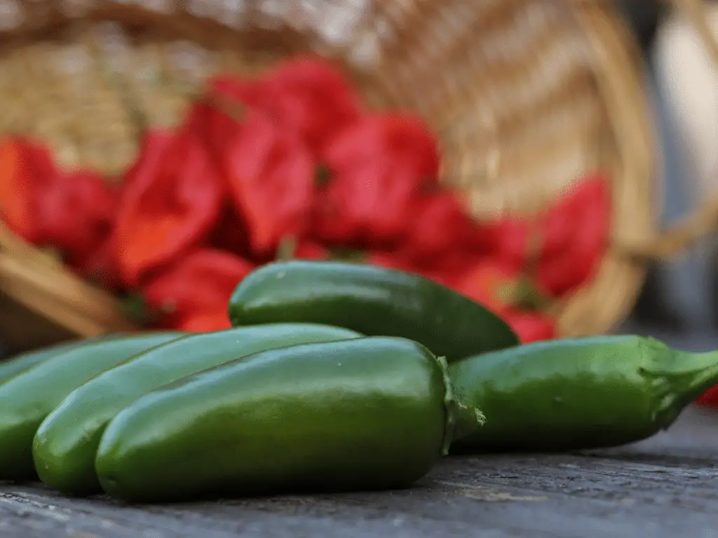 Jalapeños are easier to find, although you may be able to purchase both at your local farmer's market.