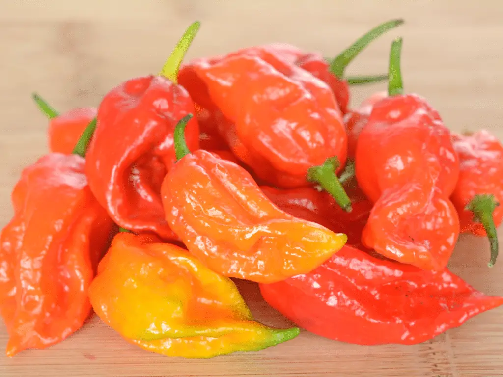 Like many other extremely hot peppers, ghost peppers have a wrinkled exterior.