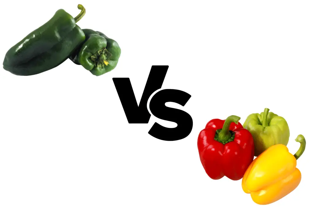 Poblano peppers vs bell peppers (based on heat, flavor, size, shape, nutrition, and substitutions).