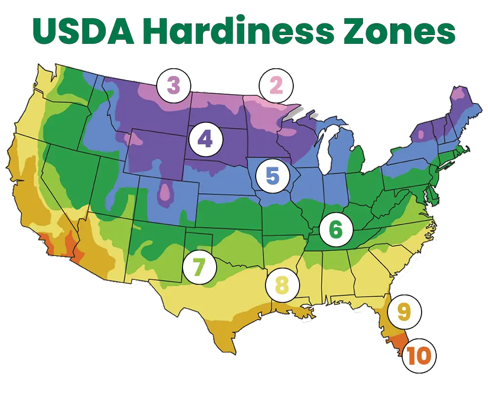 Hardiness growing zones in the continuous United States, according to the USDA