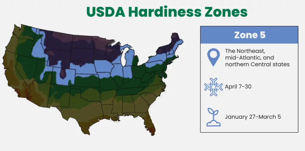 Zone 5 of the USDA Hardiness Zone