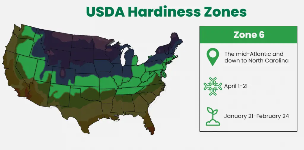 Zone 6 of the USDA Hardiness Zone