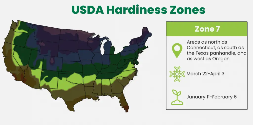 Zone 7 of the USDA Hardiness Zone