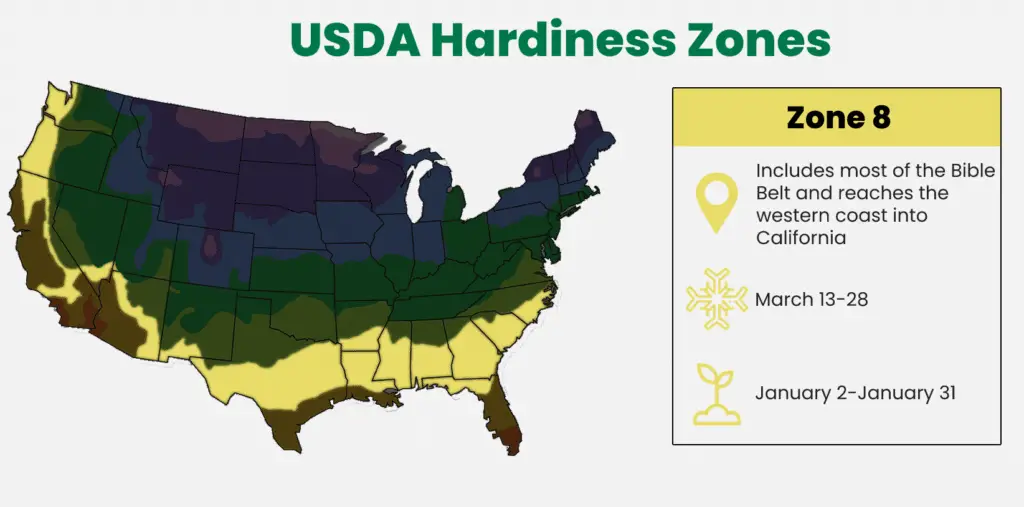 Zone 8 of the USDA Hardiness Zone
